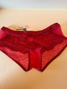 Women’s Jester Lace & Mesh Hipster Briefs - Red